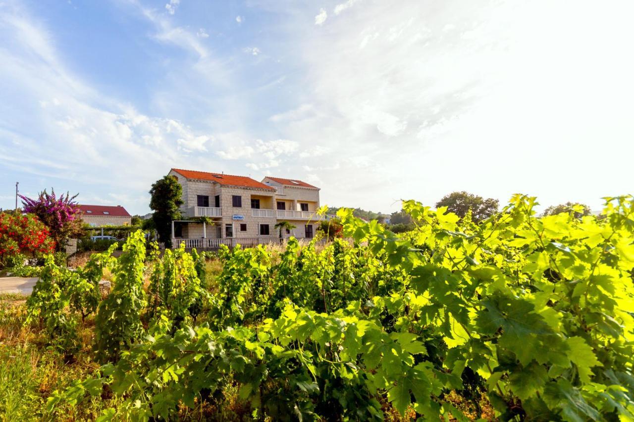 Apartmani Fides Lumbarda Esterno foto